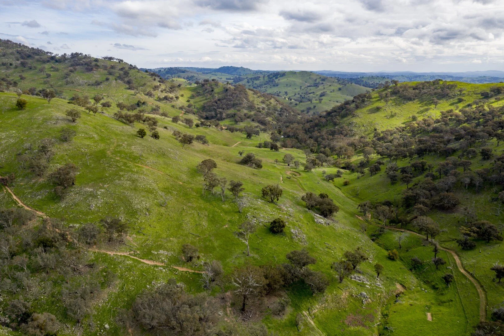 "Donna Valley" at Heavin Farms, Gundagai – Jugiong – South West Slopes NSW