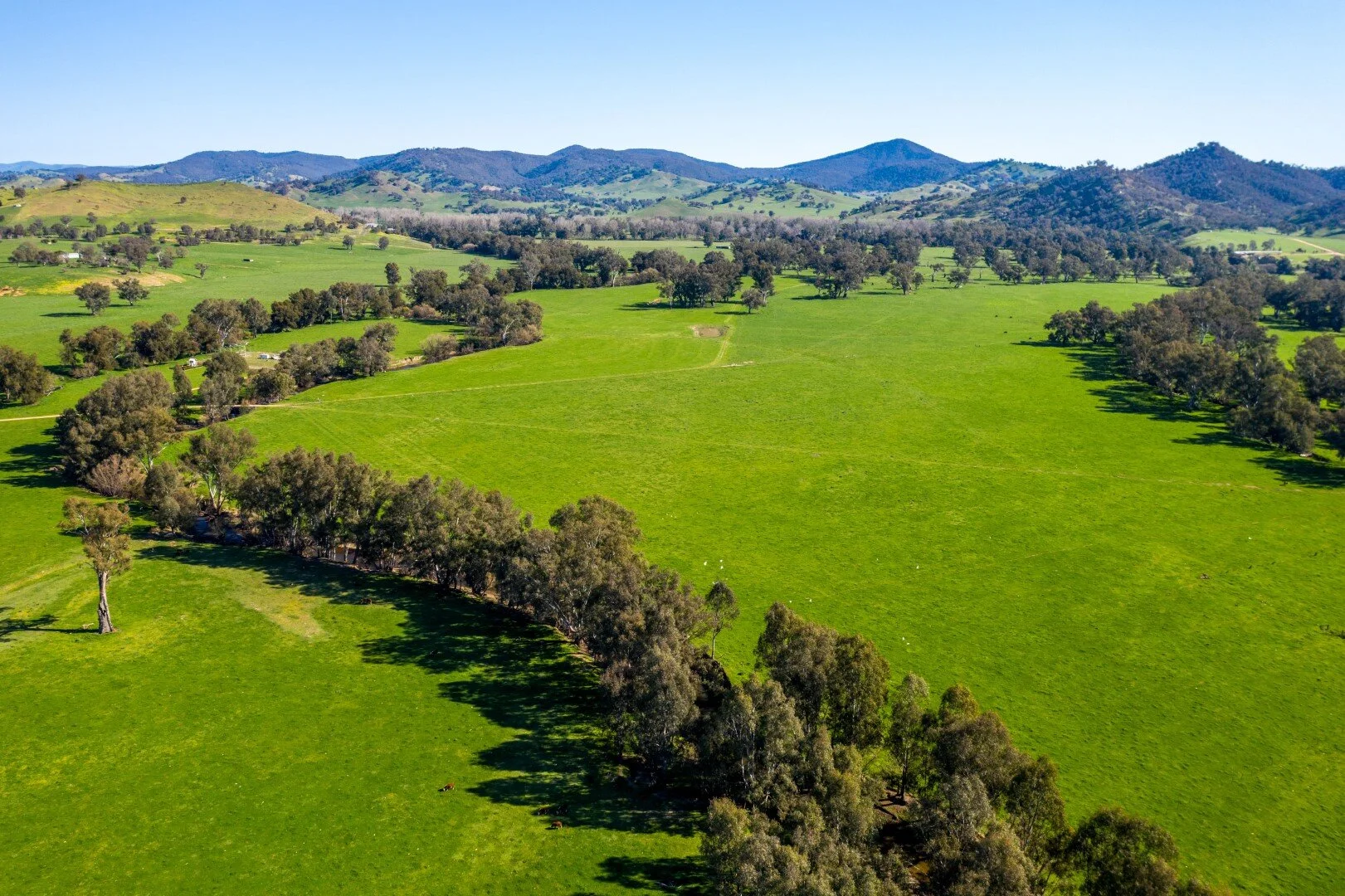 Brungle property sells for over $4m - Gundagai Independent