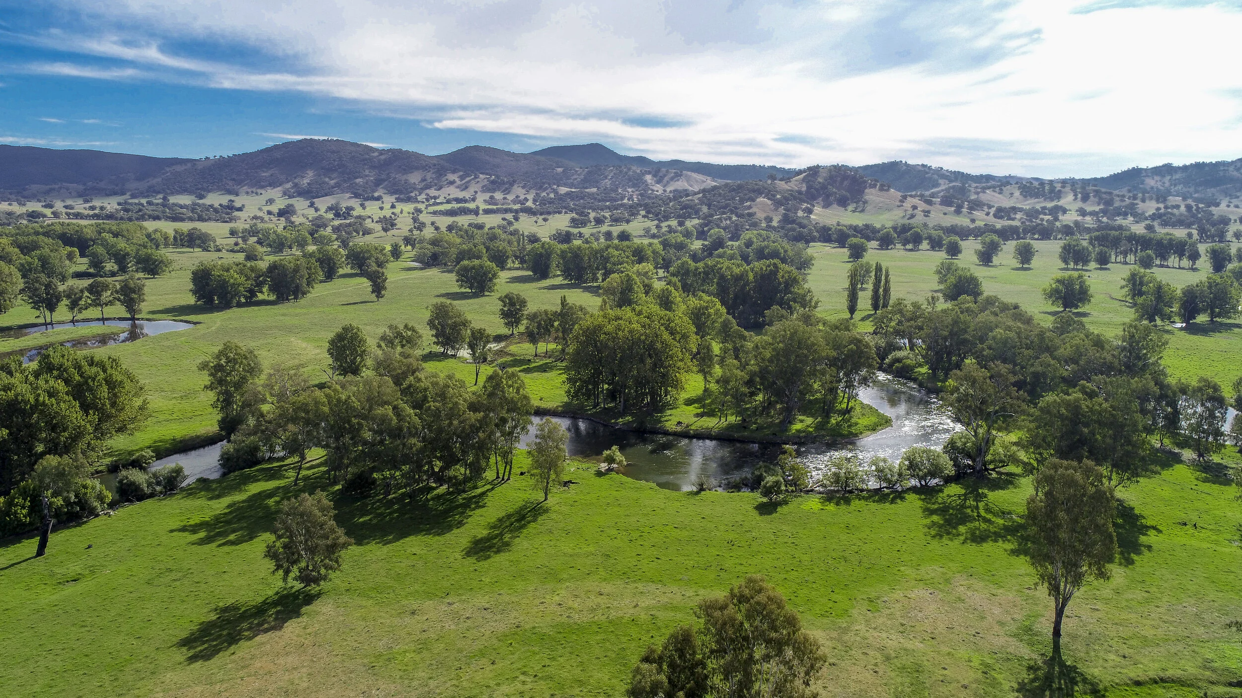 Sought-after Tumut blocks raise $11.5m - Beef Central