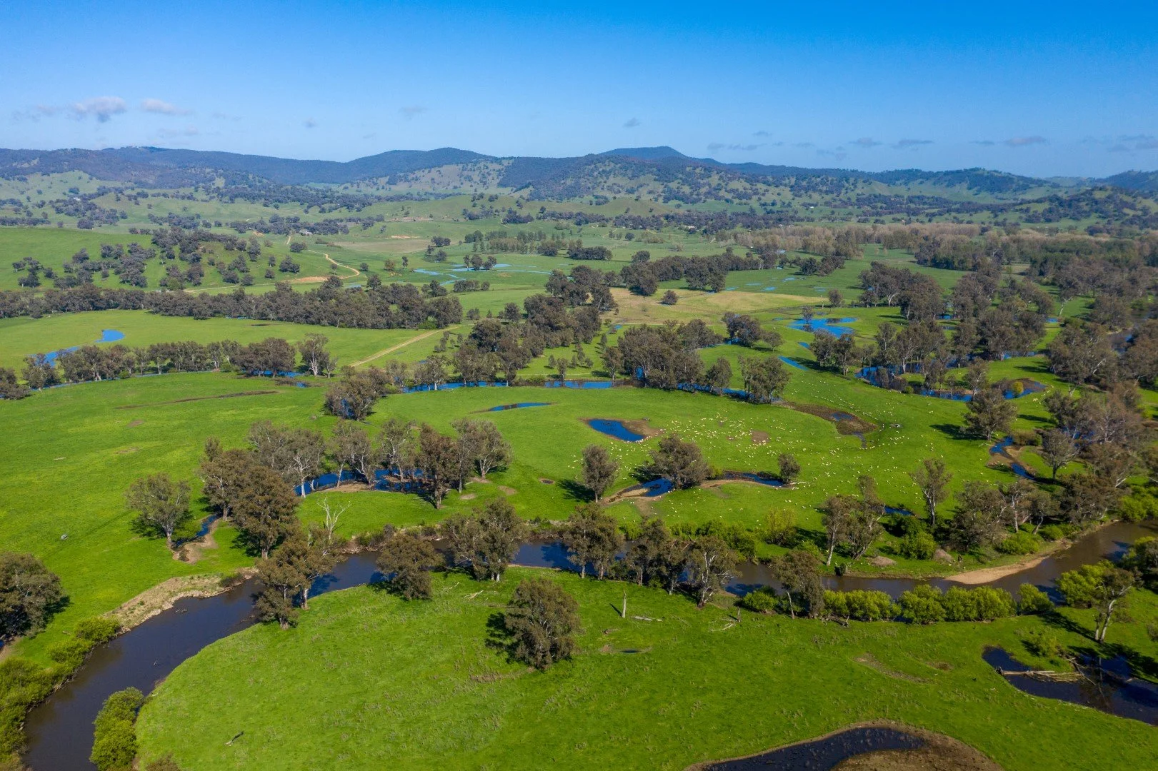 Selling for only third time - The Land