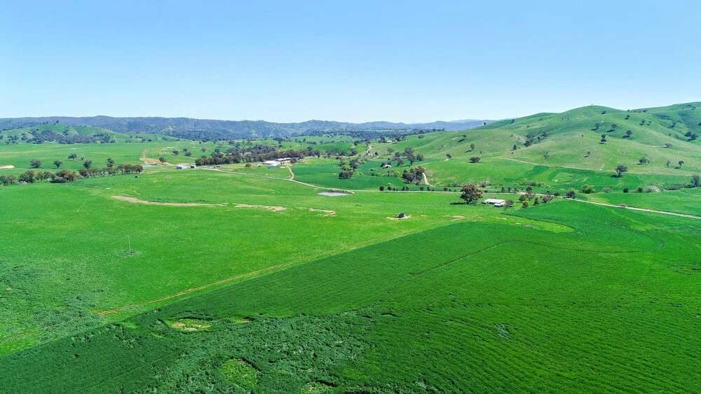 Record land prices follow talent flowing out of the city - Farm Online