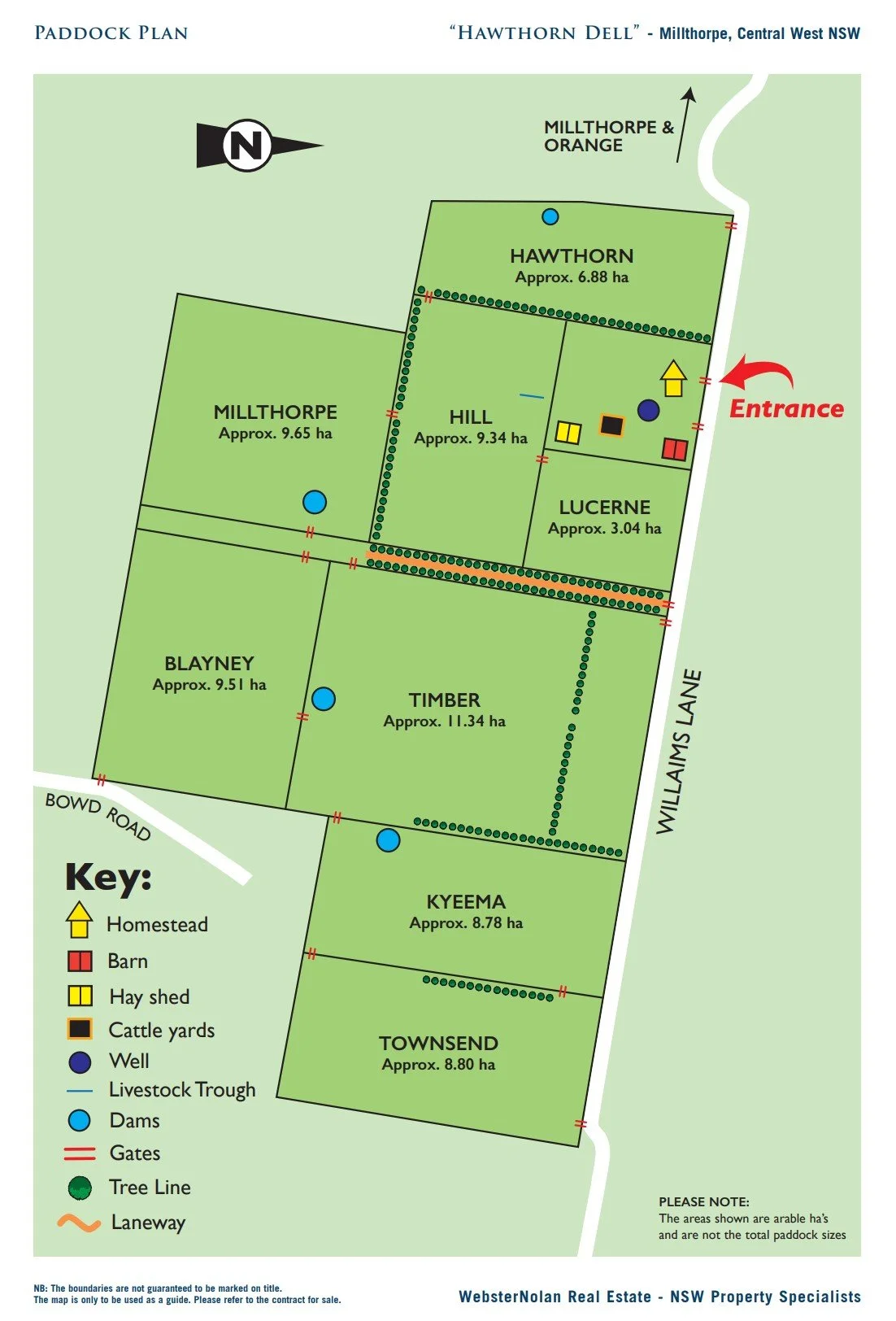 Paddock Plan.jpg