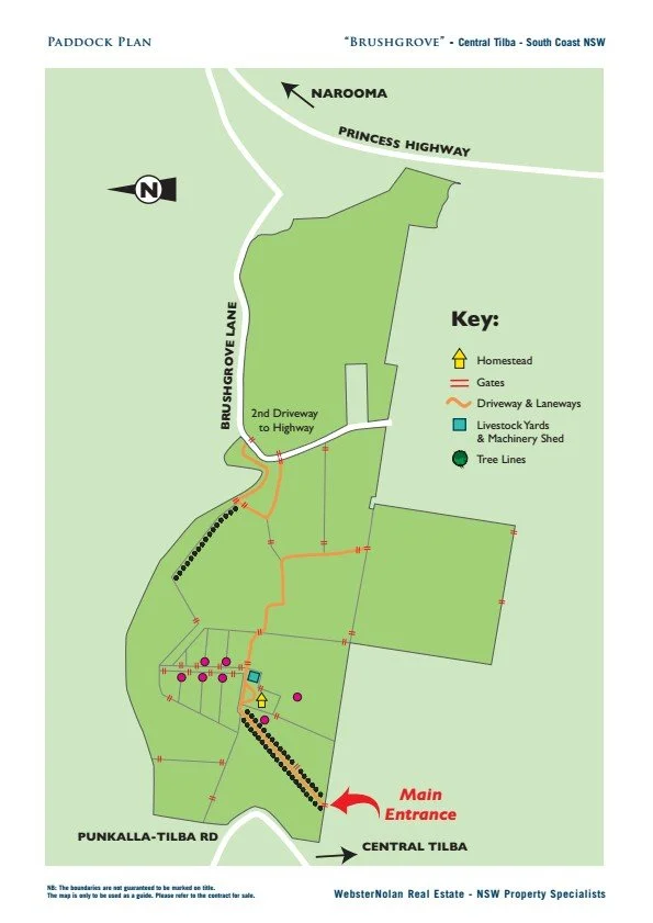 Brushgrove Paddock Plan conv 0.jpeg