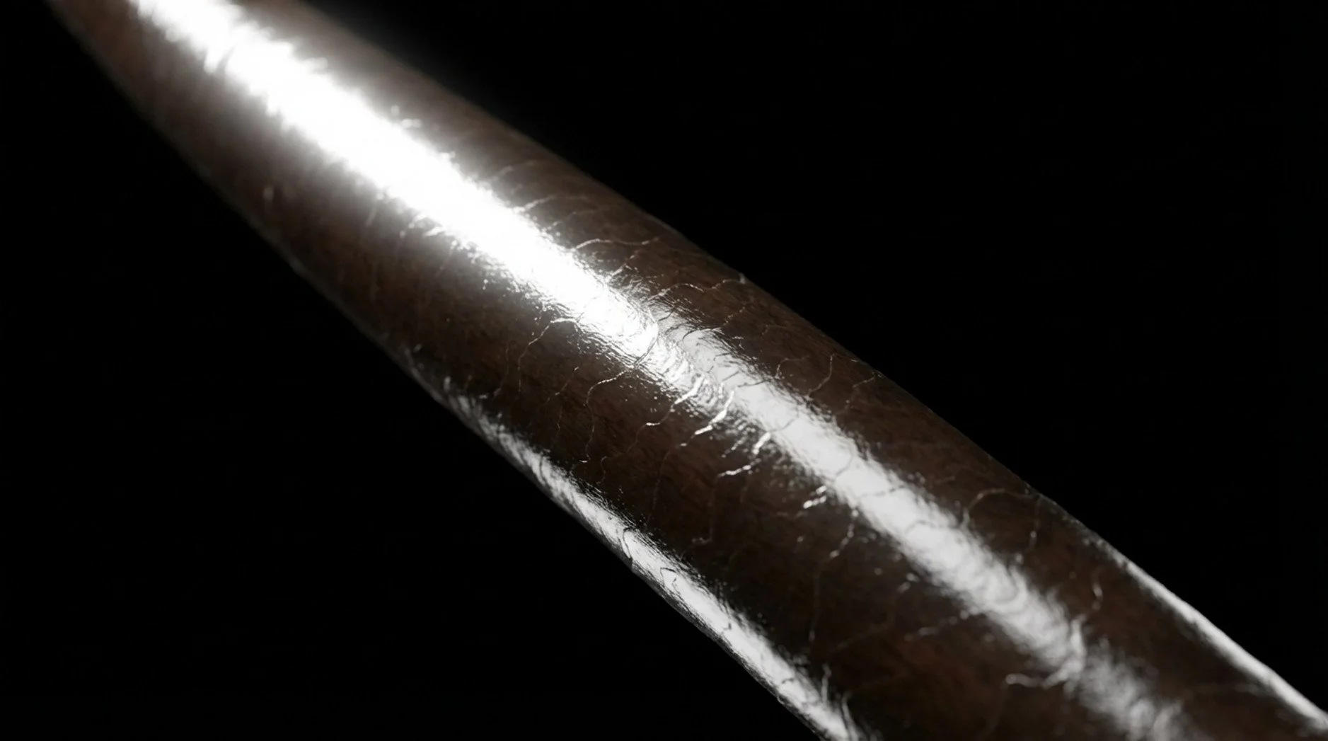 Close-up of a shiny dark hair strand reflecting light against a black background.