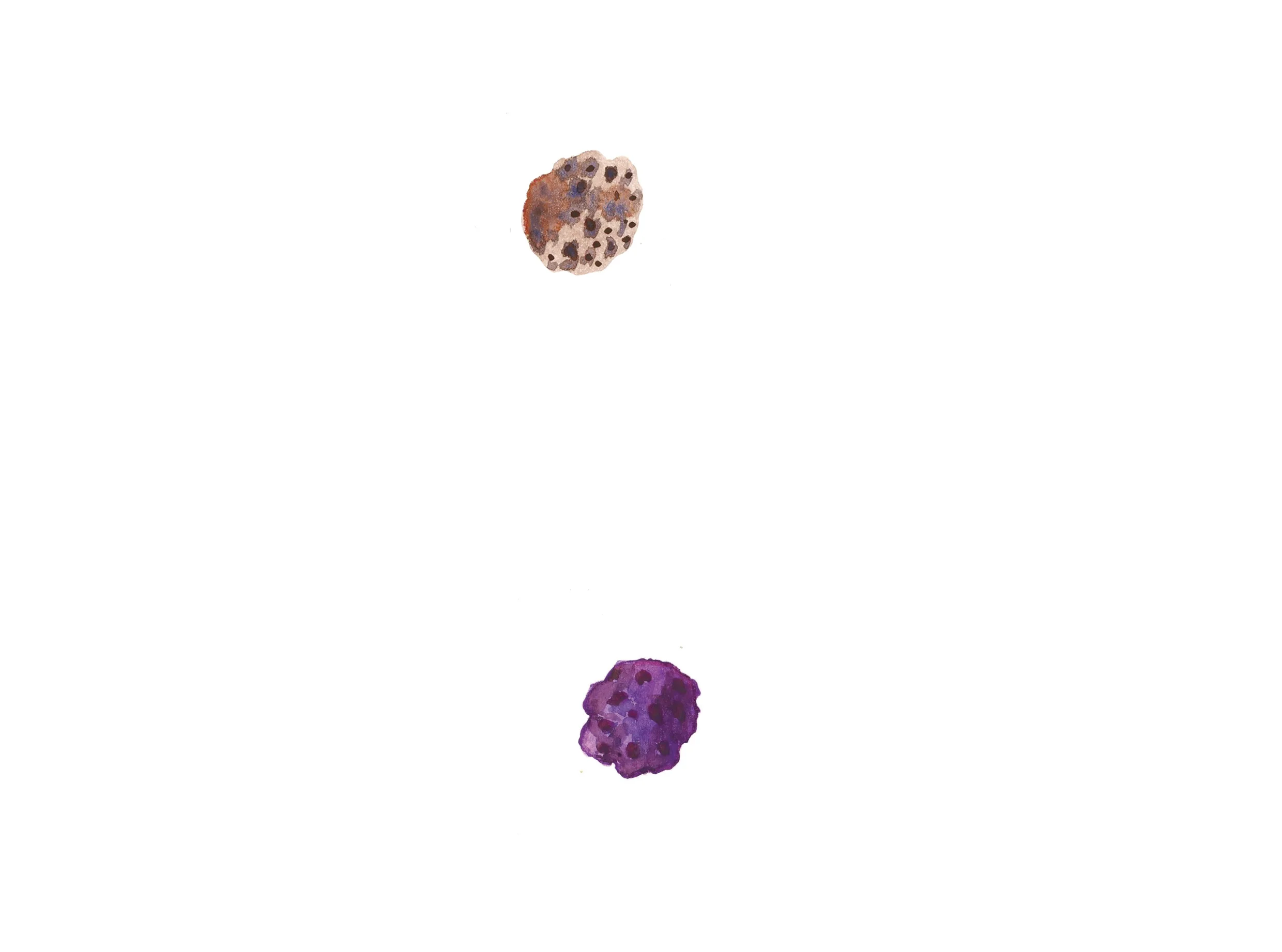 Asteroideak.jpg