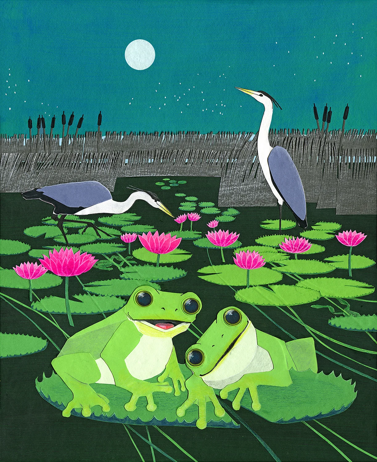 Frogs.jpg