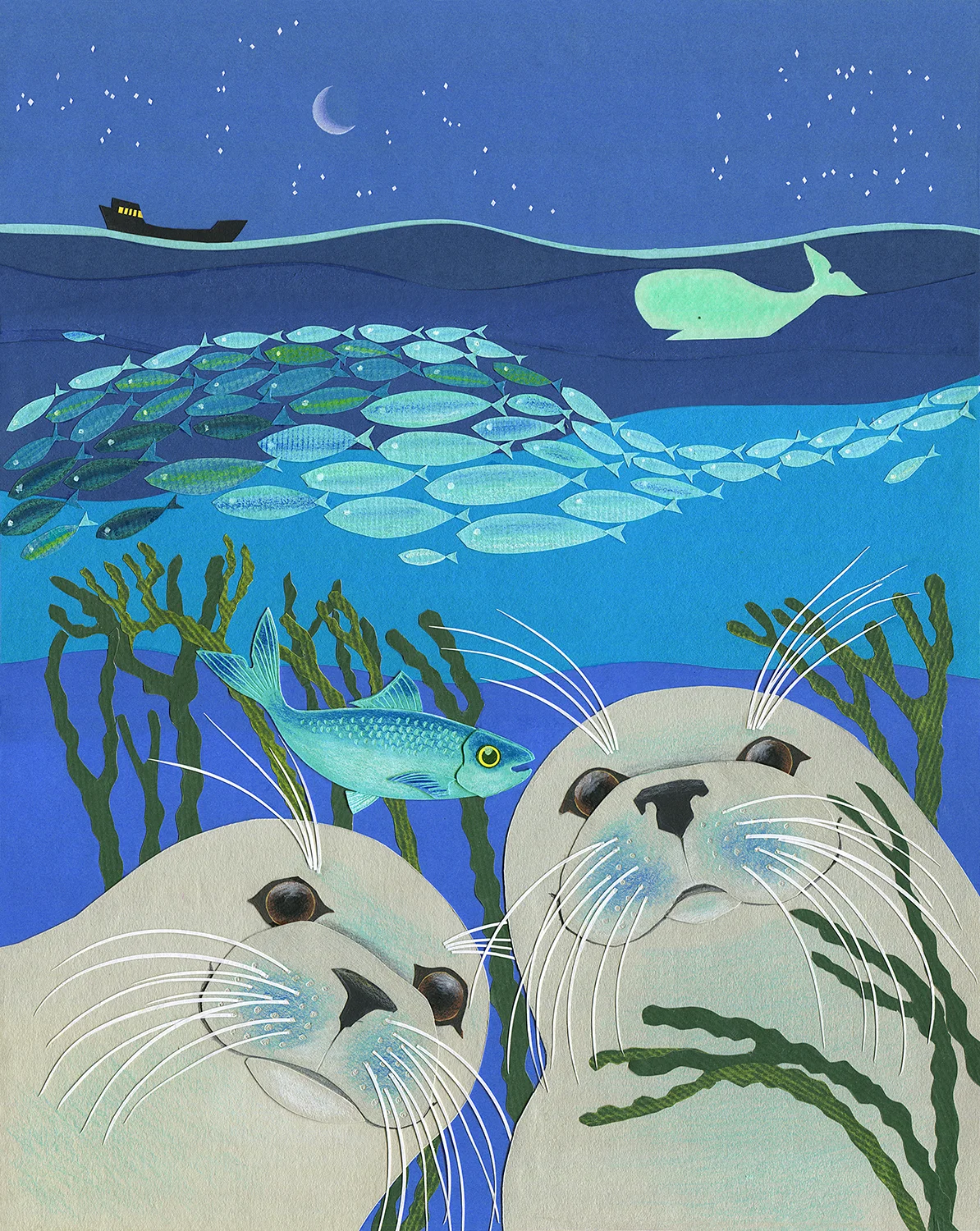 Starry Sky - Seal Pups