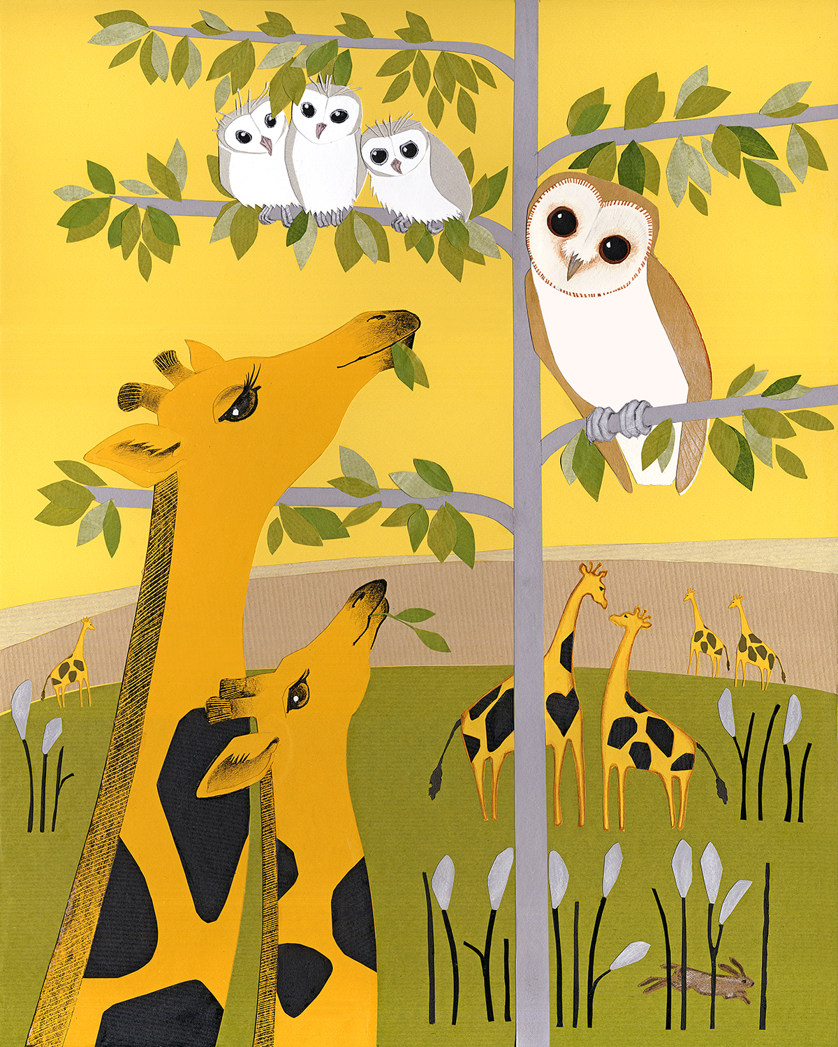 Giraffes.jpg