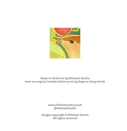 Wren greetings card - back only.jpg