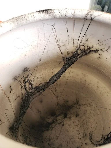 ceramics 8.jpg