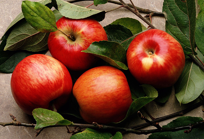 Apple.jpg