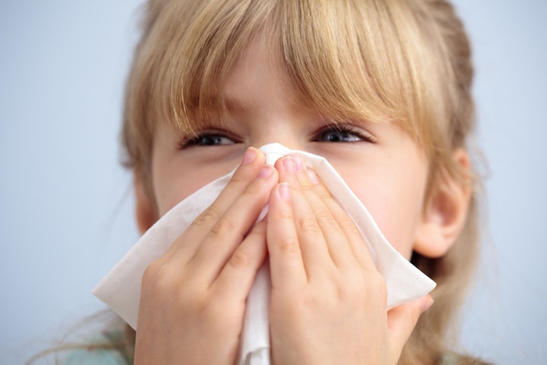 hayfever-pic.jpeg