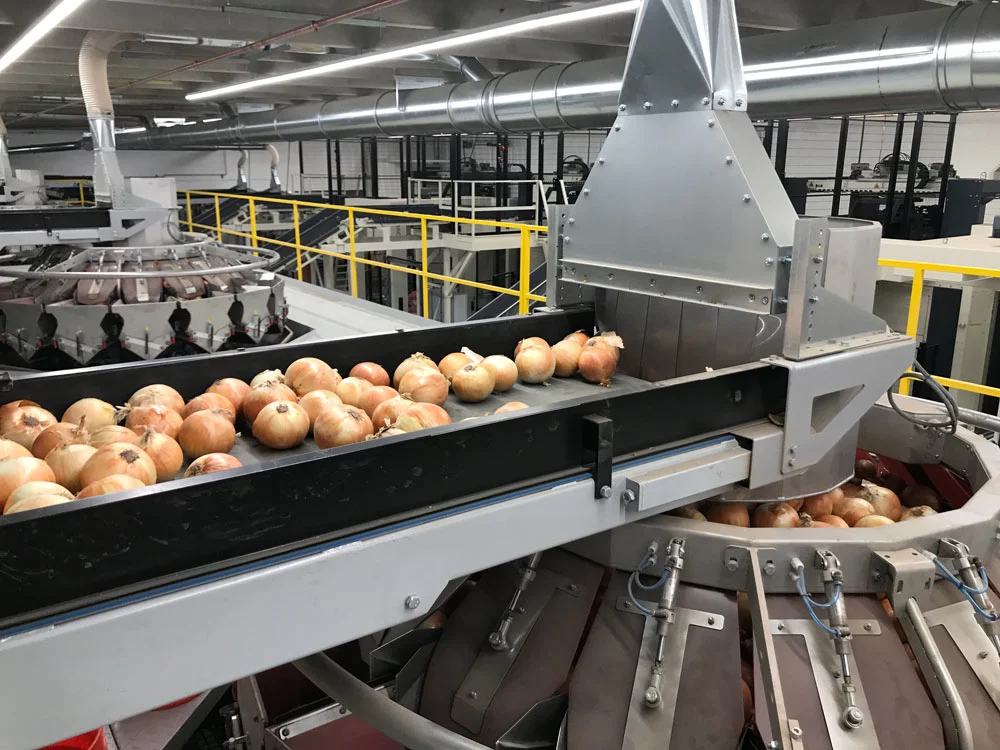 Investeren in de toekomst met Baker &amp; Murakami