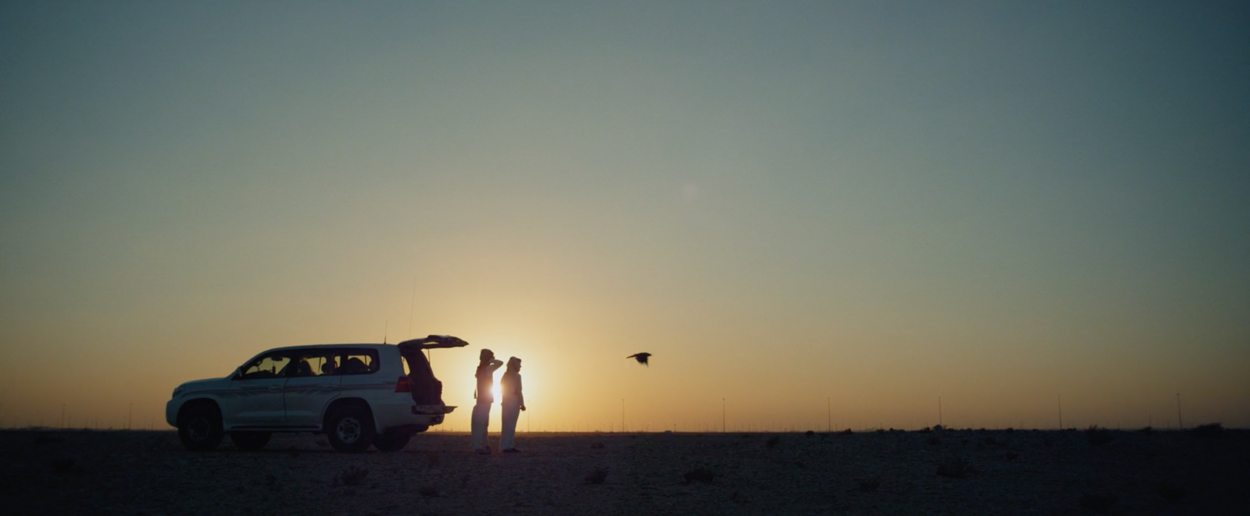 Screen Shot 2019-06-10 at 11.16.40 PM.png