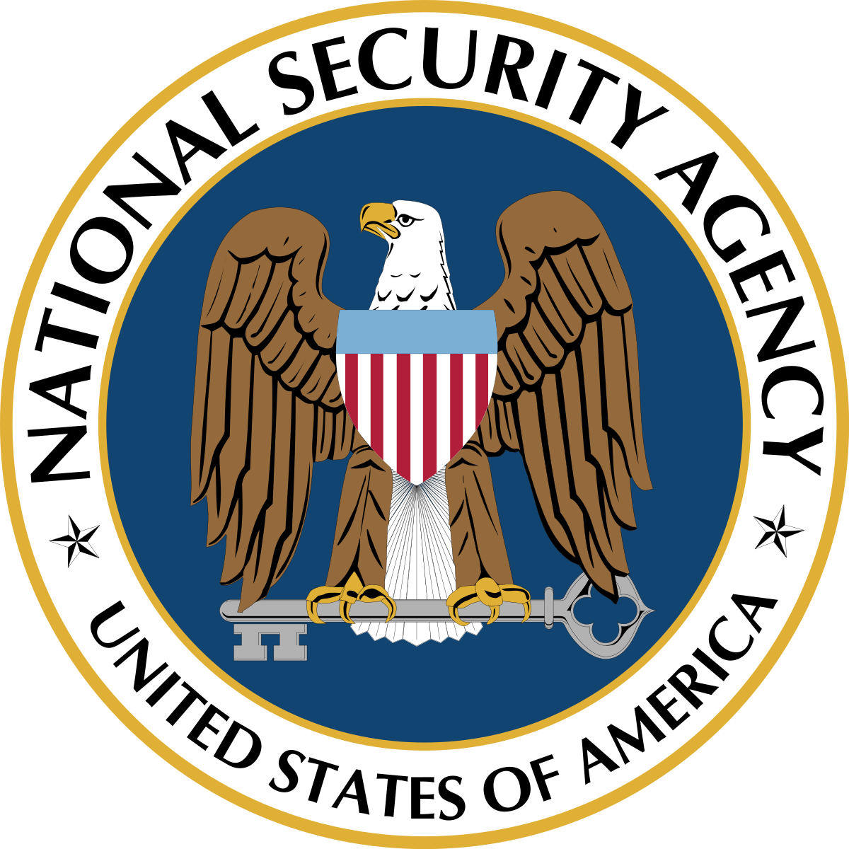 nsa1.png