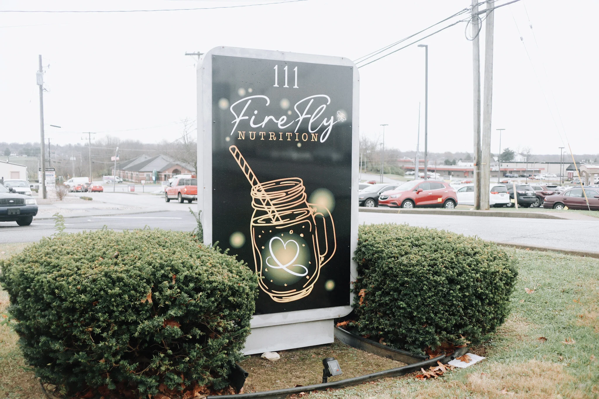 Shop Small Spotlight: Firefly Nutrition