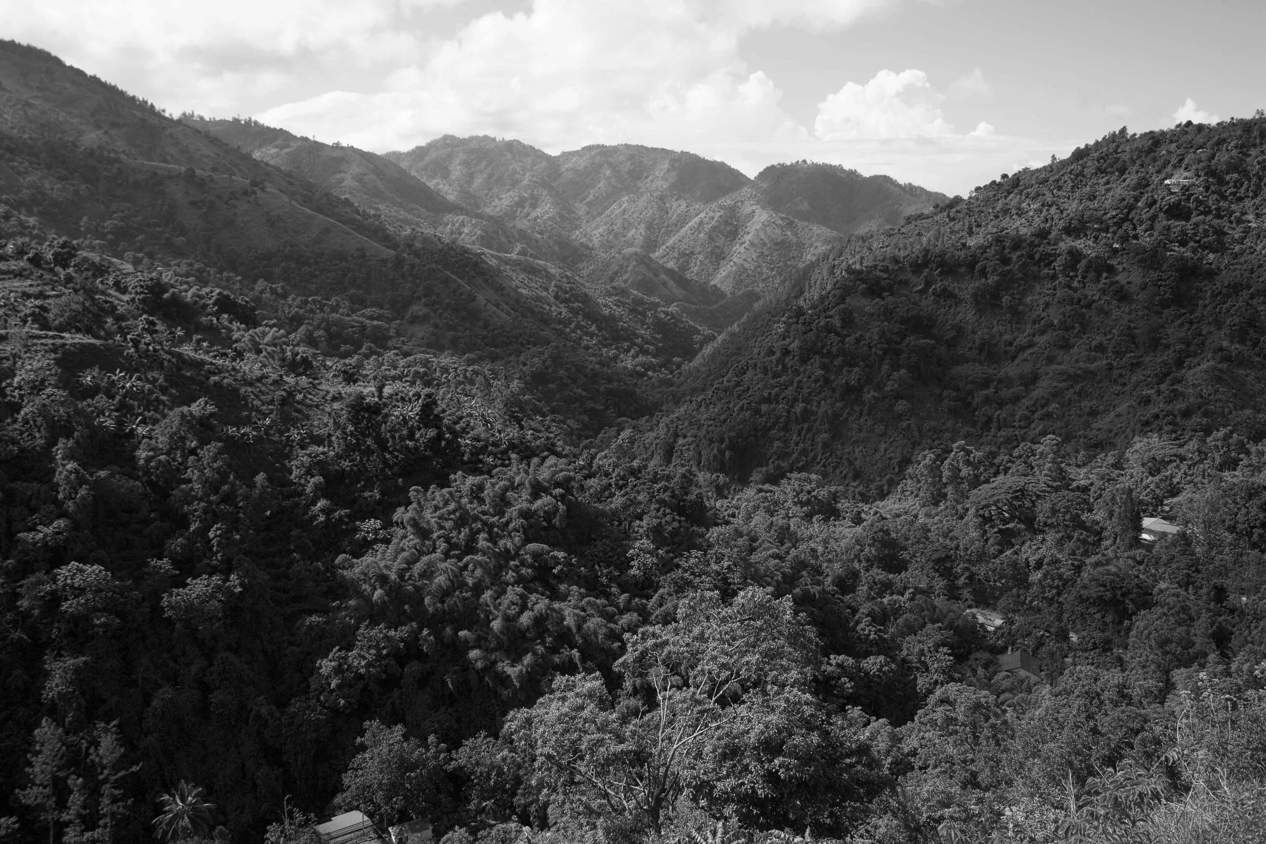 Blue-Mountain-2-Credit-Jim-Smith Black adn White.jpg