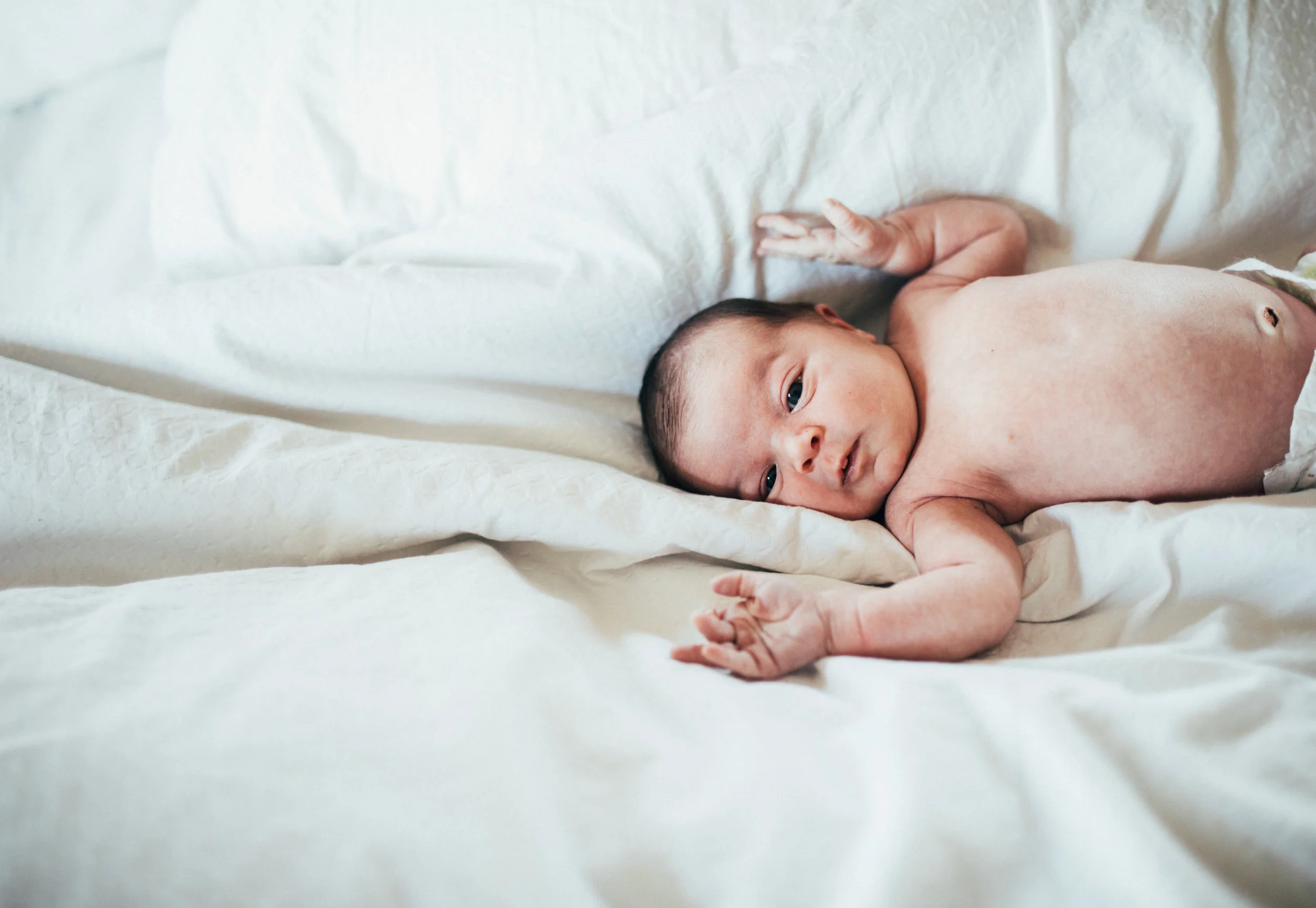 Badolato Family Newborn Session-16.jpg