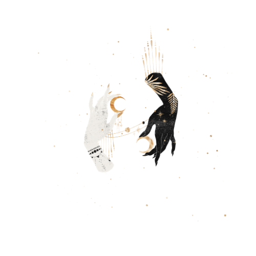 Megan Dalsey Photography