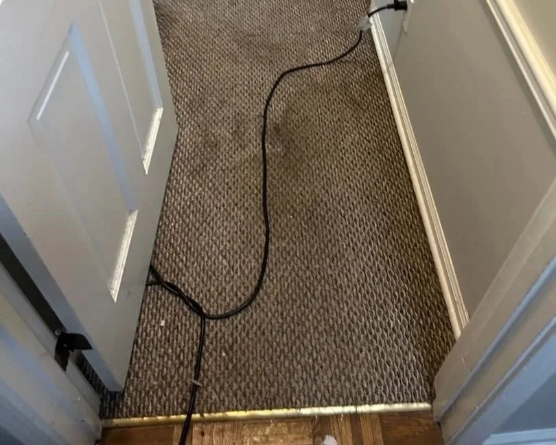 A leak from a bathtub faucet saturated the hallway carpet