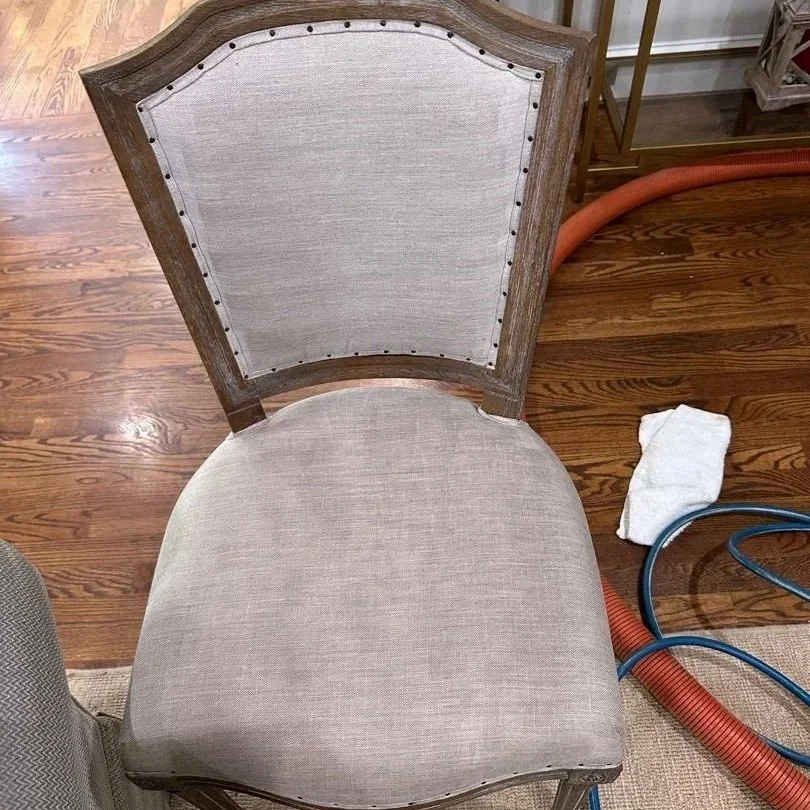 Dining room chair after ServiceMaster professional deep upholstery cleaning