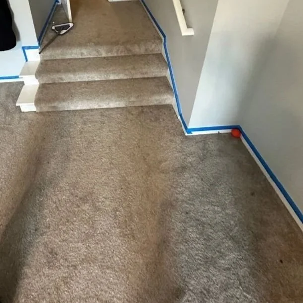 Regular dirt on carpet in high traffic area