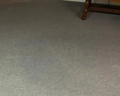 Living room carpet after ServiceMaster mitigation completed