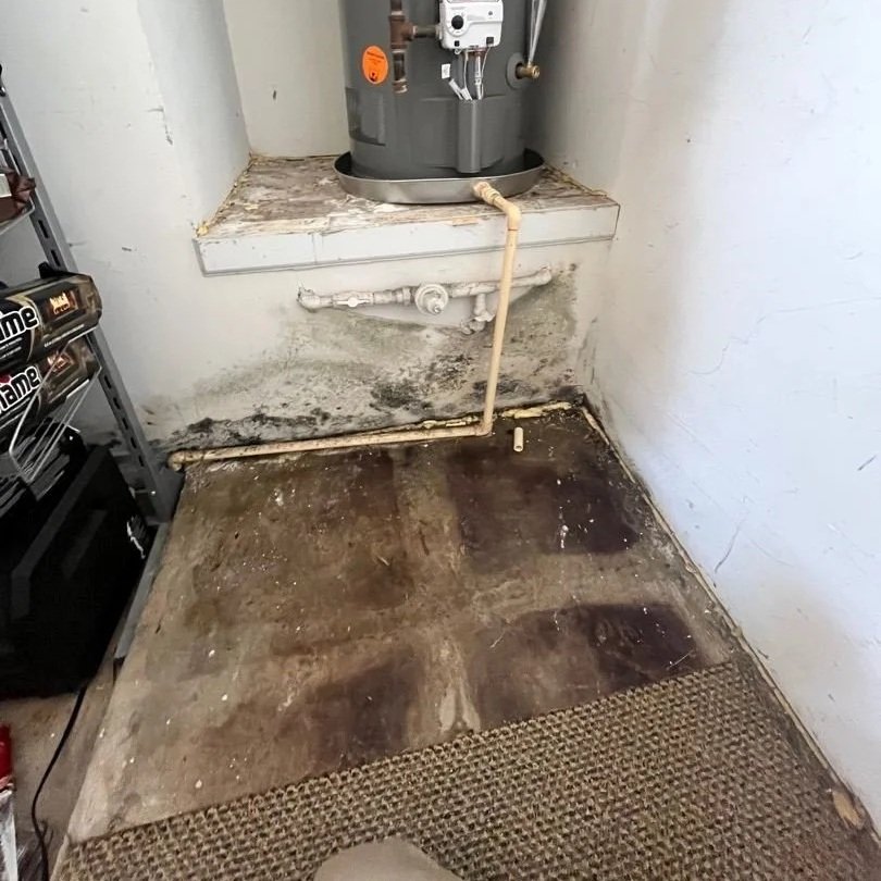 Mold in garage due to water heater leak