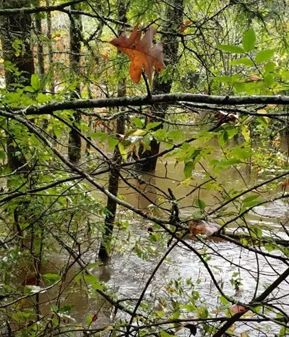 Don’t Let Spring Showers Bring Water Damage