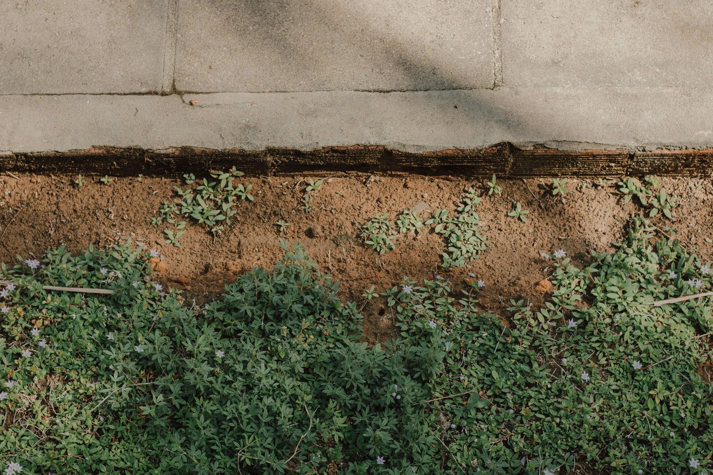 The Silent Shift - Why Georgia’s Drought is a Risk to Your Pipes
