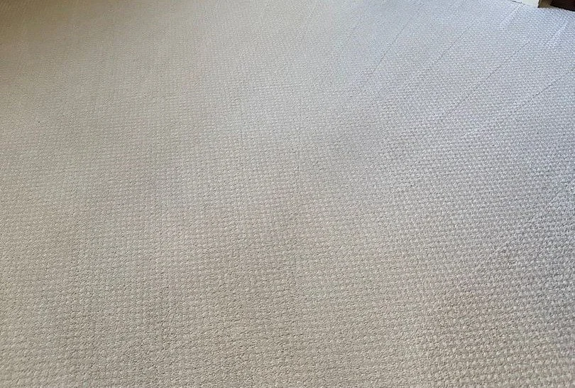 Office carpet after ServiceMaster carpet cleaning