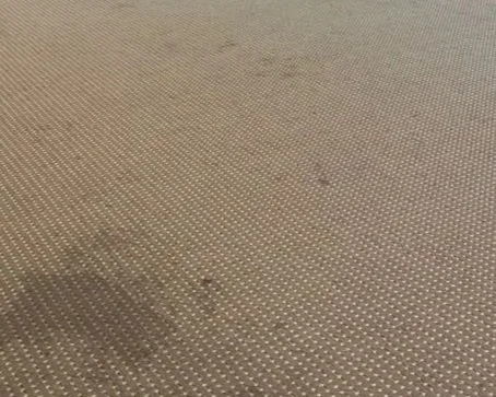Stained rug before ServiceMaster deep cleaning