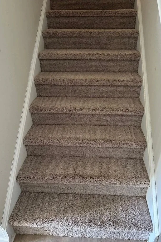Bottom of the staircase after ServiceMaster carpet cleaning