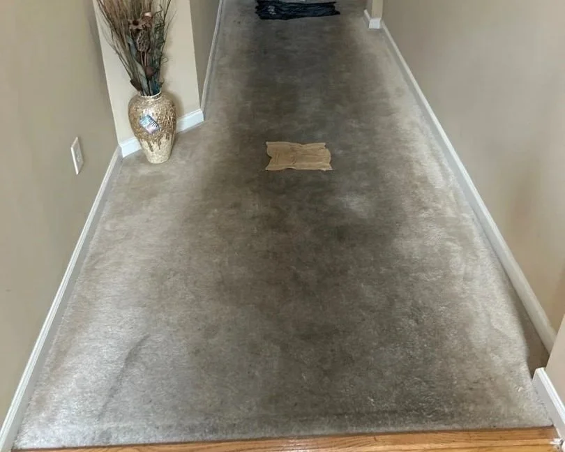 Carpet soaked with water from wobbly toilet leak
