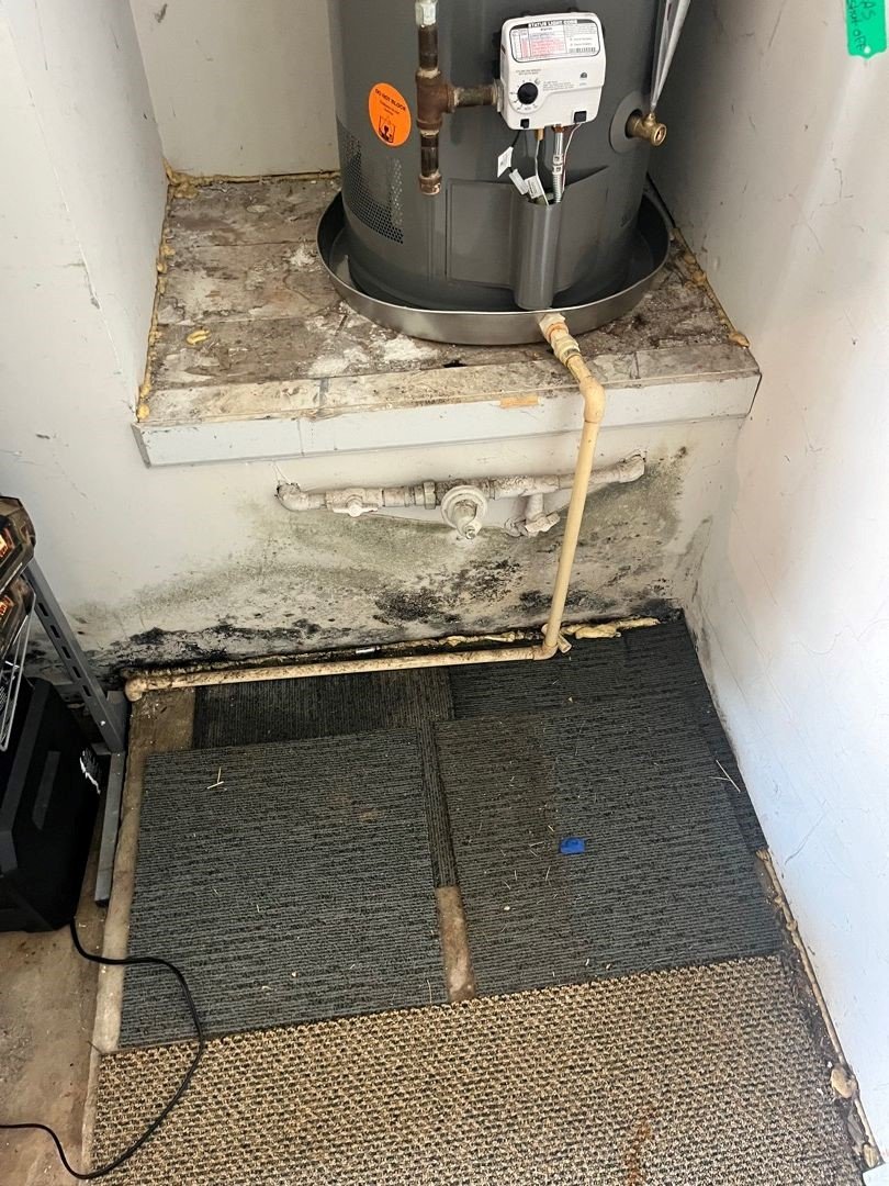 Mold in garage due to water heater leak