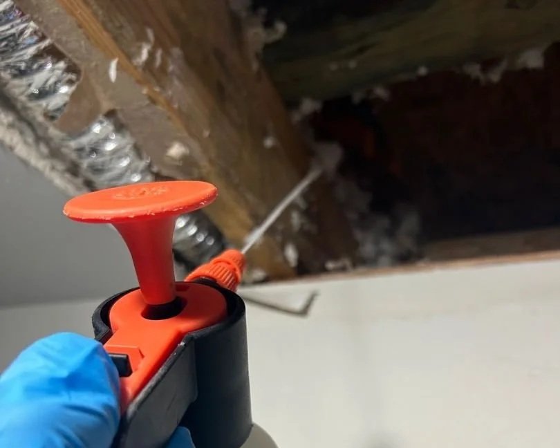 Antimicrobial treatment applied to affected areas to prevent mold growth