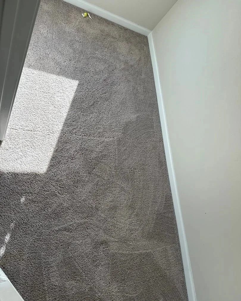 Guest closet before ServiceMaster carpet cleaning