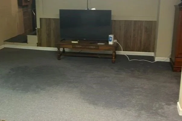 Wet carpet after heavy rain flooded the basement