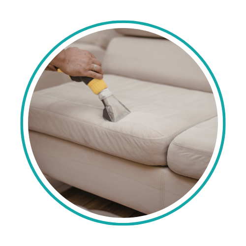 Cleaning technician is cleaning an upholstered sofa