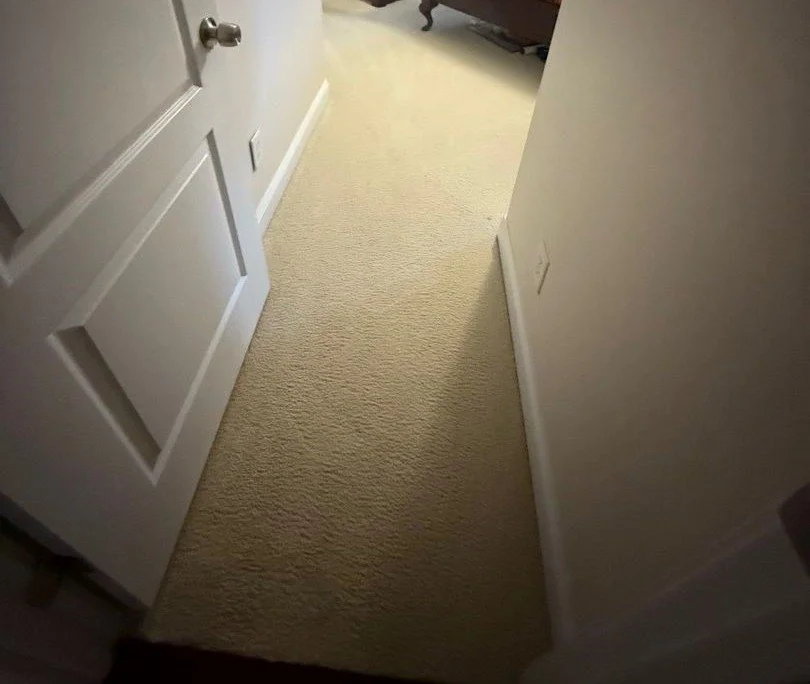 Guest bedroom entryway carpet before cleaning