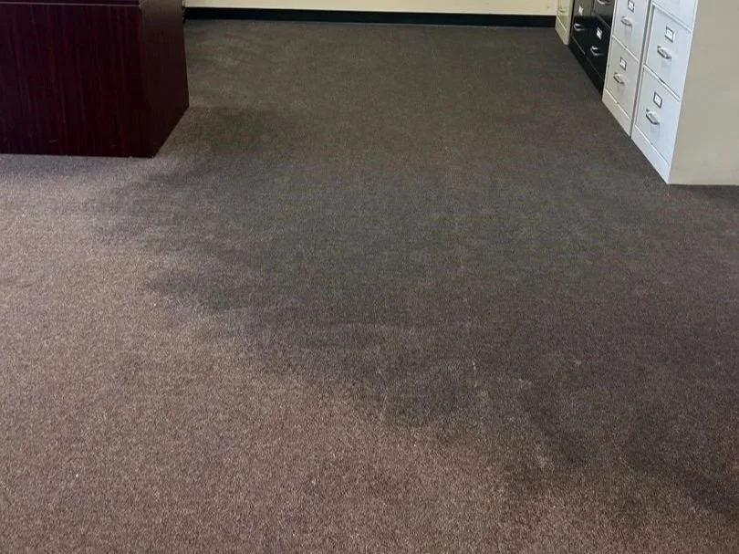 Wet carpet from water damage caused by a leak next door