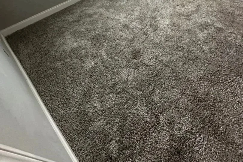 Bedroom carpet before ServiceMaster move out carpet cleaning
