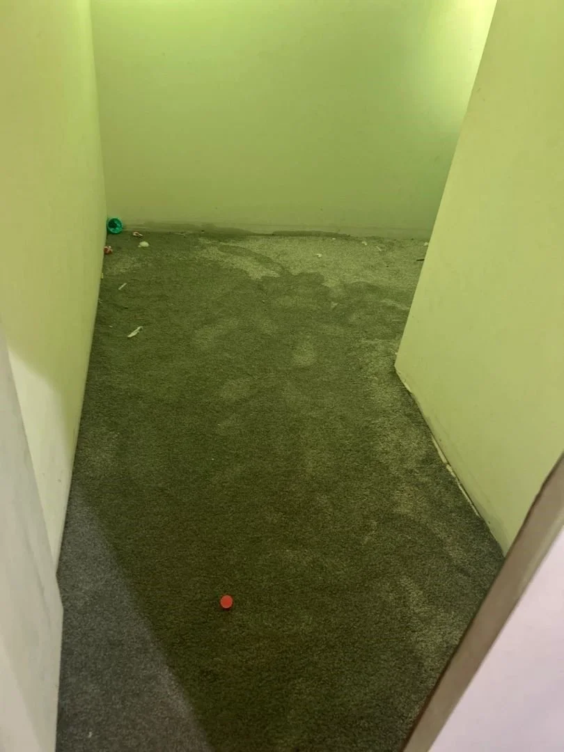 Closet drywall and carpet affected by water damage