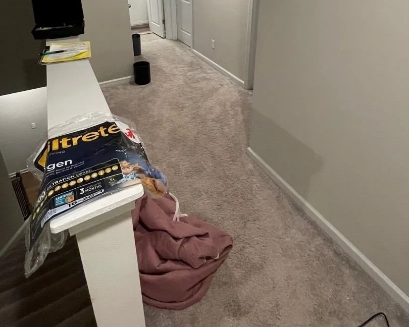 Damaged drywall and carpet in hallway after a leak in the HVAC unit