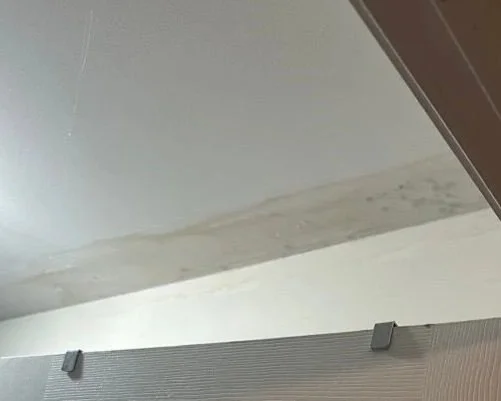 Mold on drywall ceiling after attic HVAC unit above leaked