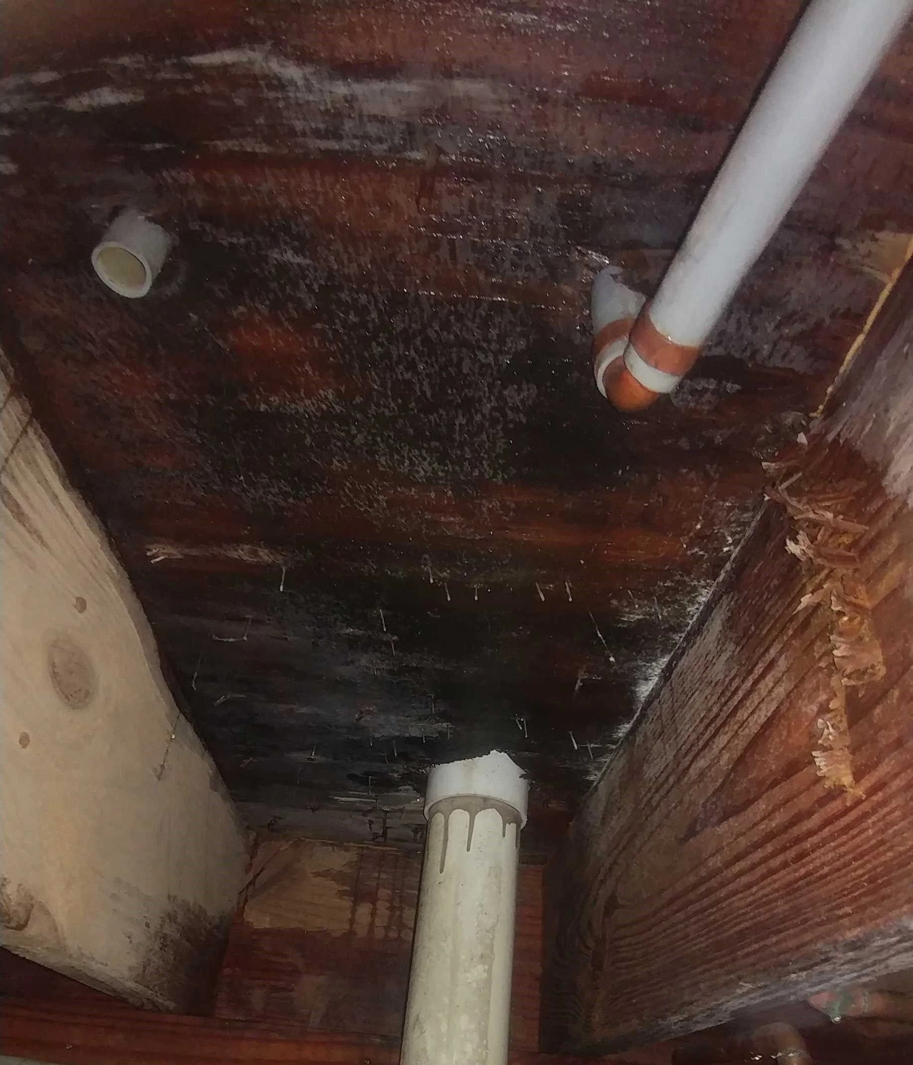 Areas of high humidity and poor ventilation usually see mold growth.