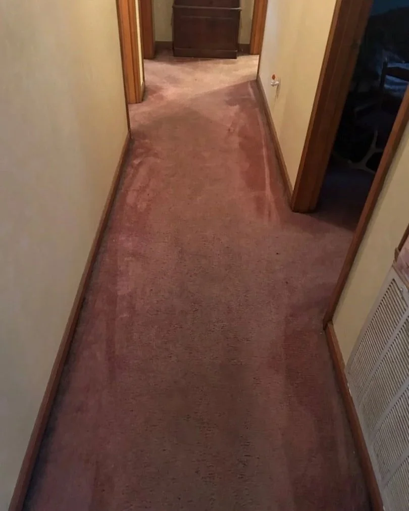 Wet carpet damaged by a washing machine supply line leak