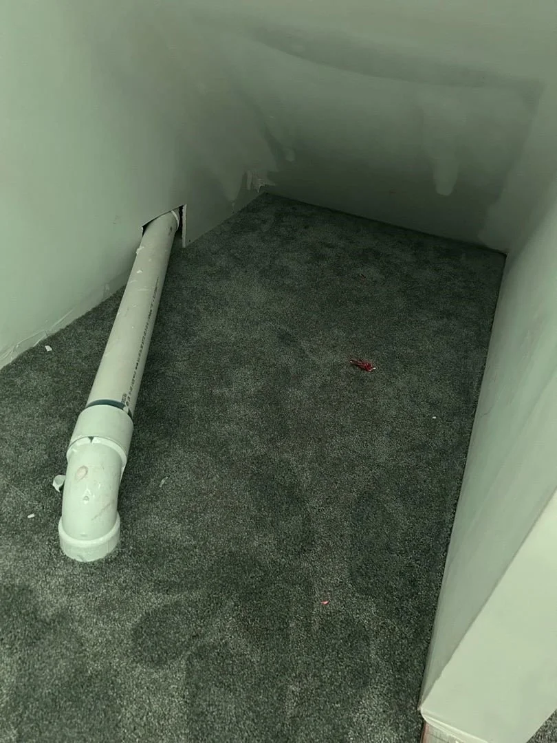 Closet wall and carpet affected by water damage