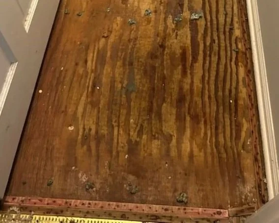 The subfloor under the carpet was also saturated after a bathtub faucet leak