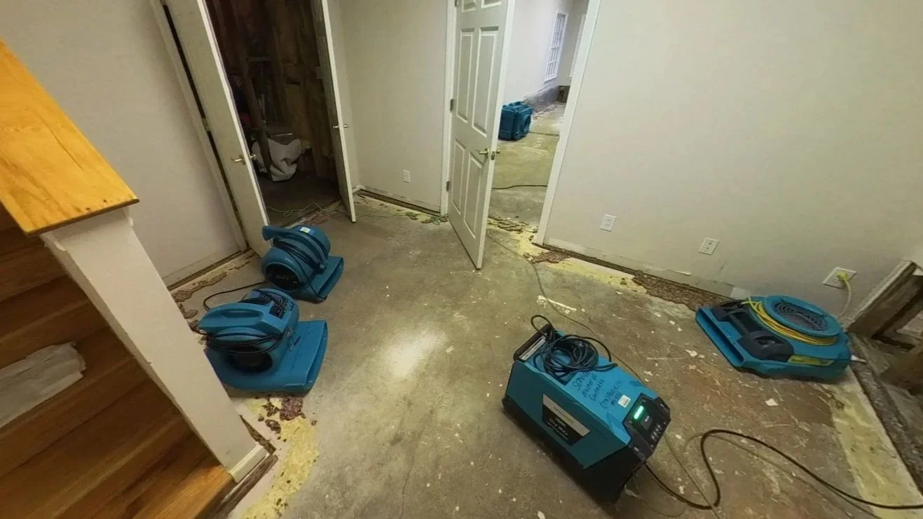 Damaged carpet and baseboards removed and drying equipment set to dry basement foyer